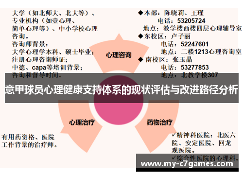 意甲球员心理健康支持体系的现状评估与改进路径分析