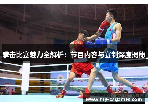 拳击比赛魅力全解析：节目内容与赛制深度揭秘