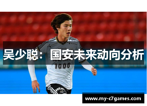 吴少聪：国安未来动向分析