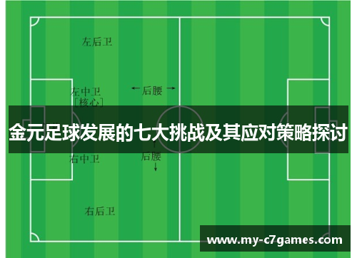 金元足球发展的七大挑战及其应对策略探讨